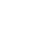 Logo Elementor para Bricolag Digital