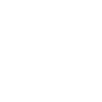 Logo WordPress para Bricolag Digital